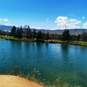 VILLA DE LEIVA - Imagen 3