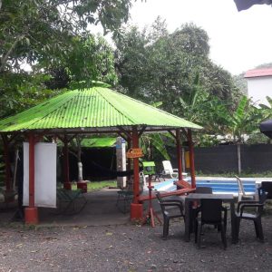 NATURALEZA Y PAZ - Imagen 13