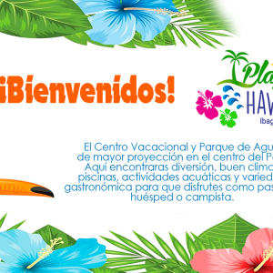 PASADÍA EN PLAYA HAWAI - Imagen 5